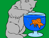Disegno Gatto che osserva il pesciolino  pitturato su rossana fan