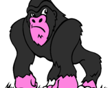 Disegno Gorilla pitturato su FLAVIO