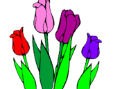 Disegno Tulipani  pitturato su sofia stentella