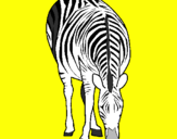 Disegno Zebra  pitturato su ben 10 alien fors