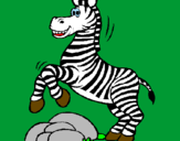 Disegno Zebra che salta sulle pietre  pitturato su Alberto