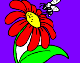 Disegno Margherita con ape  pitturato su giulia
