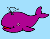 Disegno Balena che spruzza  pitturato su sara