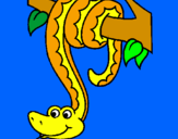 Disegno Serpente avvinghiata ad un albero  pitturato su jessica