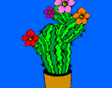 Disegno Fiori di cactus  pitturato su camilla 