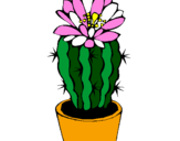 Disegno Cactus fiorito  pitturato su nuvoletta
