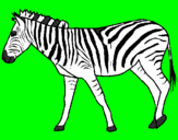 Disegno Zebra  pitturato su sasha