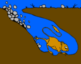 Disegno Ratto canguro  pitturato su alice