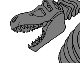Disegno Scheletro di Tyrannosaurus rex pitturato su marco
