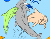 Disegno Delfini che giocano  pitturato su marco