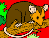 Disegno Scoiattolo Possum marsupiale pitturato su giada ghisu