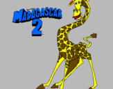 Disegno Madagascar 2 Melman pitturato su titti