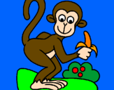 Disegno Scimmietta  pitturato su Chiara