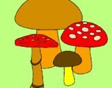 Disegno Funghi pitturato su francy 7