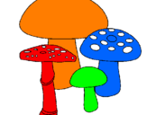 Disegno Funghi pitturato su matteo 4