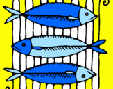 Disegno Pesce pitturato su MAURIZIO