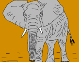 Disegno Elefante  pitturato su izioshow