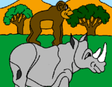 Disegno Rinoceronte e scimmietta  pitturato su vv