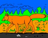 Disegno Coyote pitturato su mario