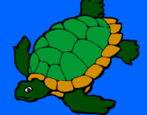 Disegno Tartaruga  pitturato su marina