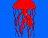 Disegno Medusa  pitturato su Raffaele