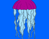 Disegno Medusa  pitturato su Ale