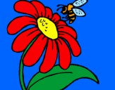 Disegno Margherita con ape  pitturato su pppppp