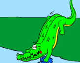 Disegno Alligatore che entra nell'acqua  pitturato su Simone
