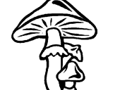 Disegno Funghi pitturato su christian