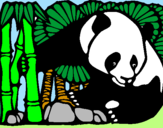 Disegno Orso panda con bambù  pitturato su camilla 