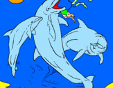 Disegno Delfini che giocano  pitturato su balena