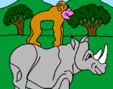 Disegno Rinoceronte e scimmietta  pitturato su Tino