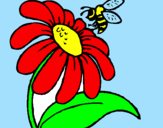 Disegno Margherita con ape  pitturato su erica