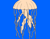 Disegno Medusa  pitturato su sebastiano