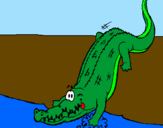 Disegno Alligatore che entra nell'acqua  pitturato su Raffaele