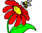 Disegno Margherita con ape  pitturato su hannia