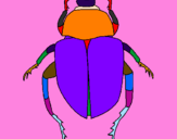 Disegno Scarabeo  pitturato su scarabeo