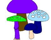 Disegno Funghi pitturato su fungo4