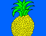 Disegno ananas  pitturato su alessandro