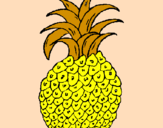 Disegno ananas  pitturato su sarah 7