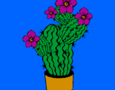 Disegno Fiori di cactus  pitturato su isa