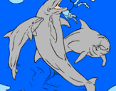 Disegno Delfini che giocano  pitturato su MARTY