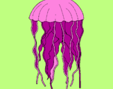Disegno Medusa  pitturato su josefina