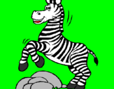 Disegno Zebra che salta sulle pietre  pitturato su zebra