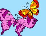 Disegno Farfalle pitturato su valeee