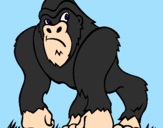 Disegno Gorilla pitturato su nicola