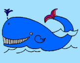 Disegno Balena  pitturato su titty