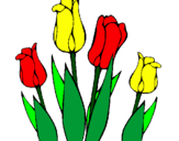 Disegno Tulipani  pitturato su roberta