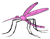 Disegno Zanzara pitturato su zanzara rosa