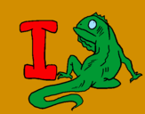 Disegno Iguana  pitturato su lorenzo c